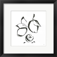 Framed 'Lemons BW' border=