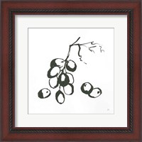Framed Grapes I BW