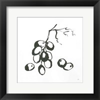 Framed Grapes I BW