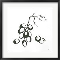 Framed Grapes I BW