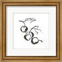 Framed 'Cherries BW' border=