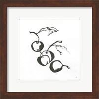 Framed 'Cherries BW' border=