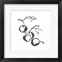 Framed Cherries BW