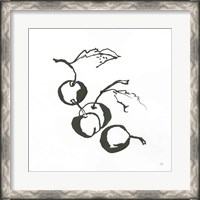 Framed Cherries BW