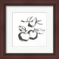 Framed 'Apples BW' border=