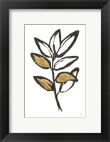 Framed Leafed IX