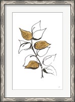 Framed Leafed VIII