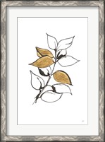 Framed Leafed VII