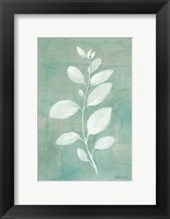 Framed Sage Leaves II