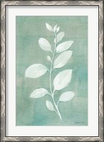 Framed Sage Leaves II