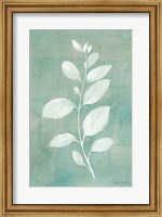 Framed Sage Leaves II