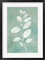 Sage Leaves II Framed Print