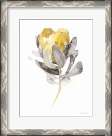 Framed Spirit Flower II