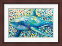 Framed Chatham Shark