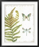 My Greenhouse Botanical III No Words Framed Print