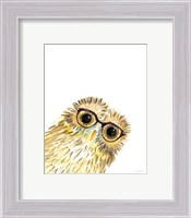 Framed 'Owl in Glasses' border=