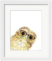 Framed Owl in Glasses