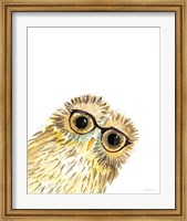 Framed Owl in Glasses