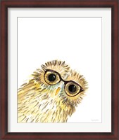 Framed Owl in Glasses