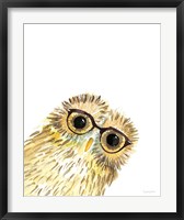 Framed Owl in Glasses