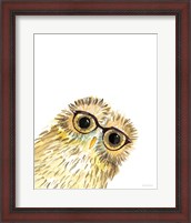 Framed Owl in Glasses