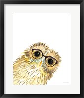 Owl in Glasses Framed Print