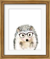 Framed Hedgehog in Glasses