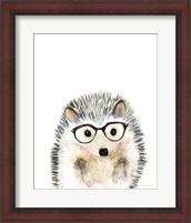 Framed Hedgehog in Glasses