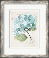 Framed Antique Floral I Blue Vintage