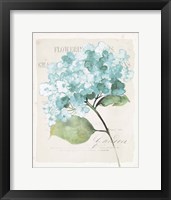 Antique Floral I Blue Vintage Framed Print
