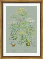 Framed Flowering Plants II Green Linen