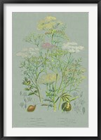Flowering Plants II Green Linen Framed Print