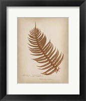 Framed Ferns in Book V Burgundy