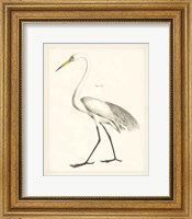 Framed Vintage Heron II
