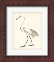 Framed Vintage Heron II
