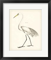 Framed 'Vintage Heron II' border=