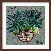 Framed Succulent Pot I