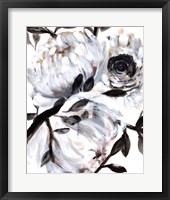 Framed Farmhouse White Bush II