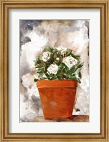 Framed White Flower Clay Pot I