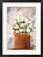 White Flower Clay Pot II Framed Print