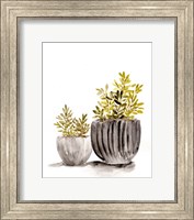 Framed Gray Potted Plants