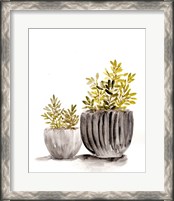 Framed Gray Potted Plants