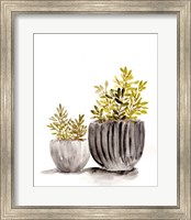 Framed Gray Potted Plants