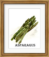 Framed Veggie Sketch I-Asparagus