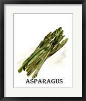 Framed 'Veggie Sketch I-Asparagus' border=