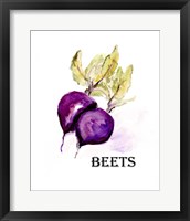 Framed Veggie Sketch III-Beets