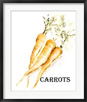 Framed Veggie Sketch V-Carrots
