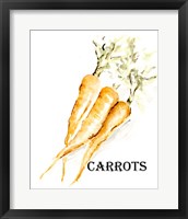 Veggie Sketch V-Carrots Framed Print