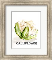 Framed Veggie Sketch VI-Cauliflower
