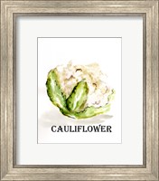 Framed 'Veggie Sketch VI-Cauliflower' border=